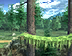 SSE-The Forest.png