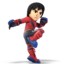 Mii Brawler SSBU.png